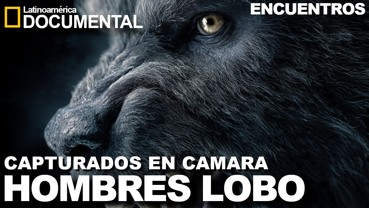 DOCUMENTAL DE HOMBRES LOBOS  CAPTURADOS EN CAMARA