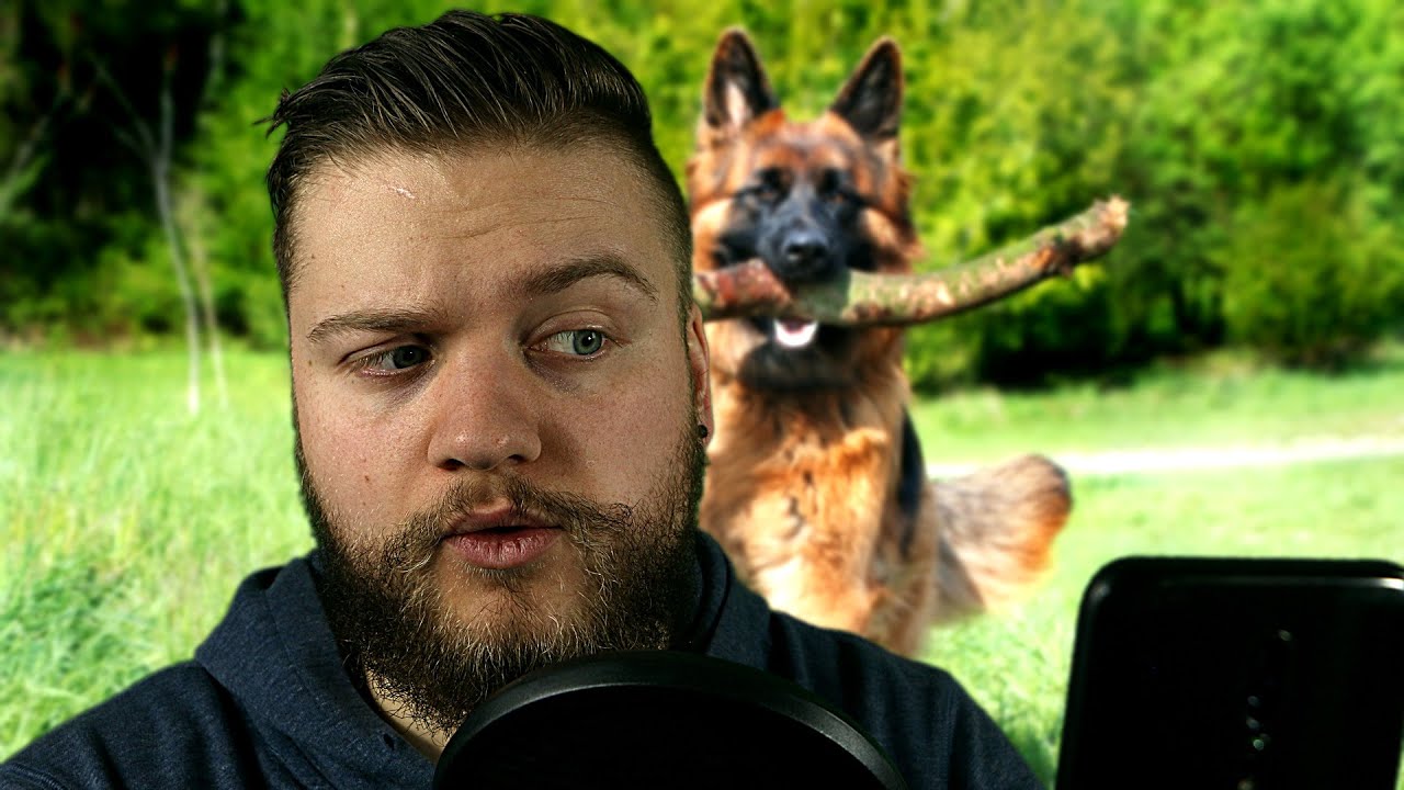 Whispering about the German Shepherd (ASMR)