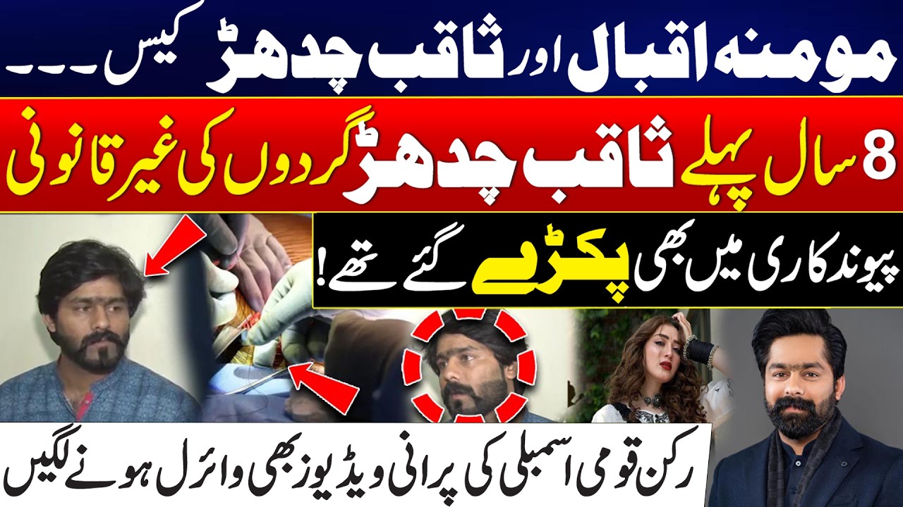 Momina Iqbal Vs Saqib Chadhar | MPA's Old Videos Go Viral Once again after 8 Years - 24 News HD
