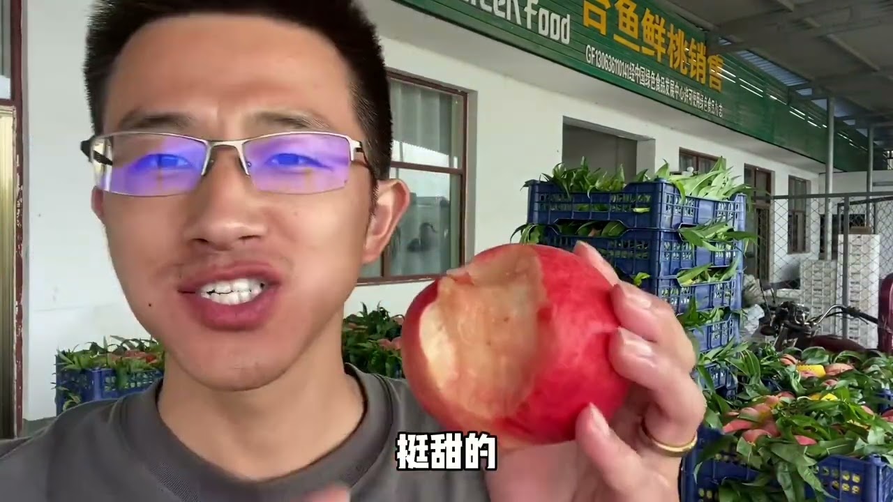 老家桃子成熟了，小伙地里摘了直接吃，香甜可口根本吃不够#记录真实生活 #创作者扶持计划 #抖音新农人 #新农村计划2022 #新农人计划