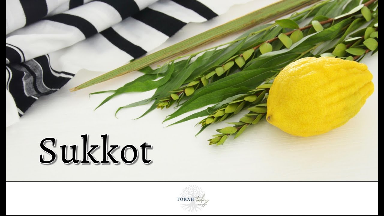 Divine Appointments - Sukkot