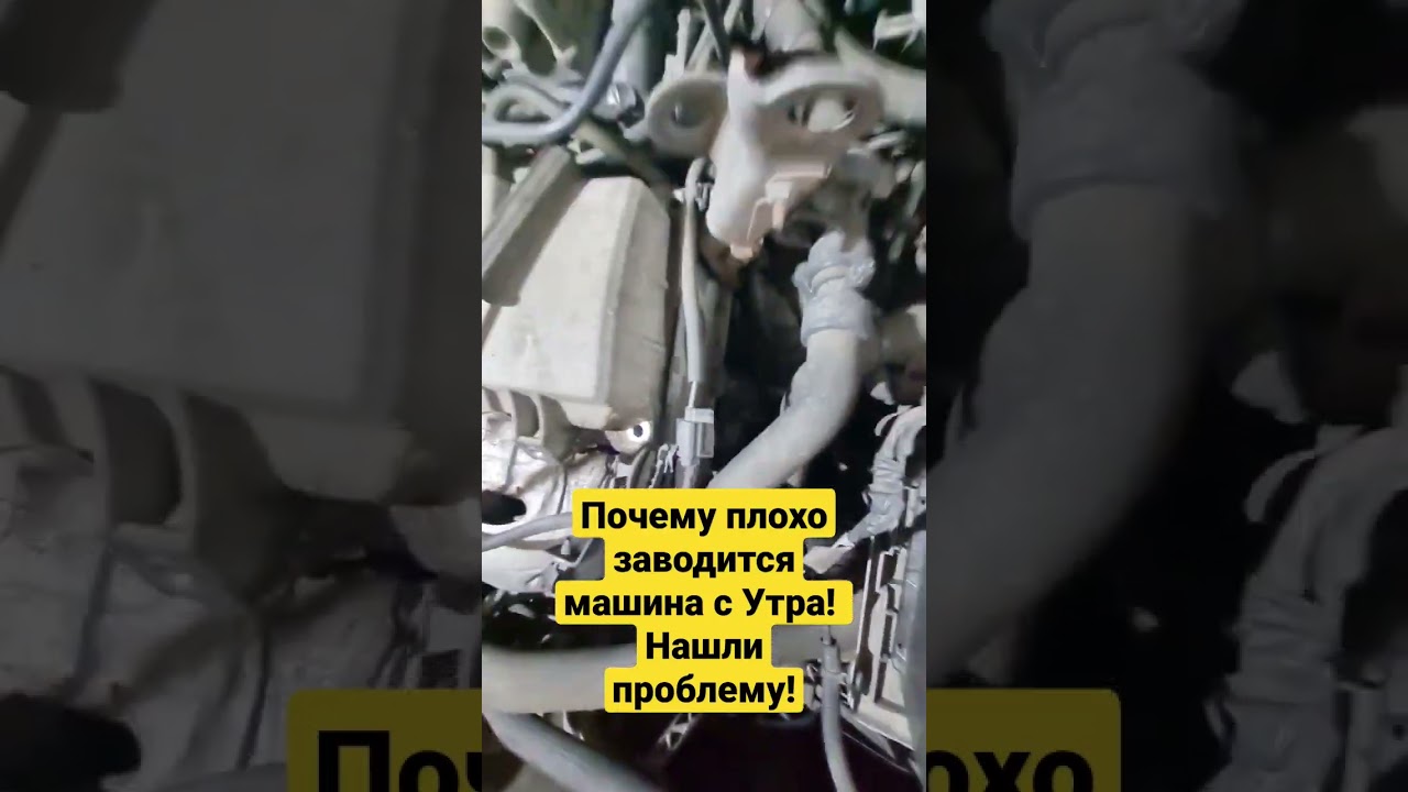 Почему машина плохо заводится с утра? Нашли Проблему!!