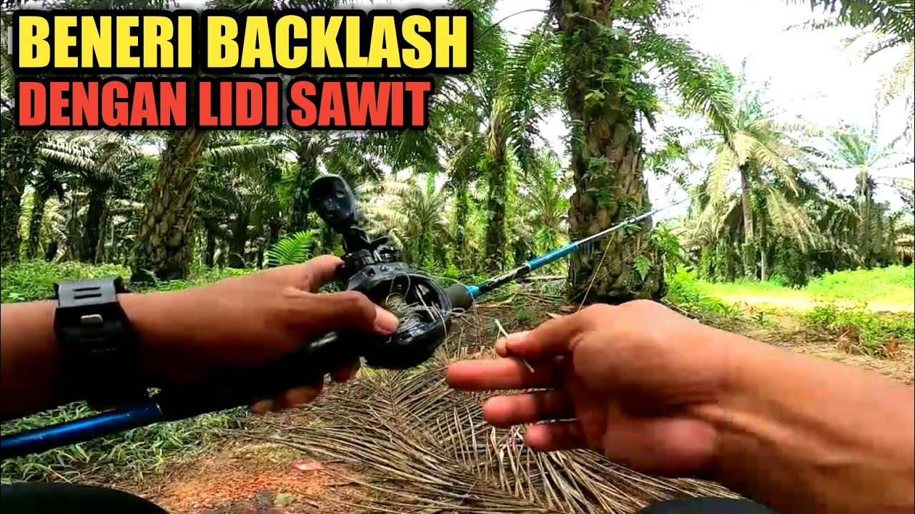 BAGAIMANA CARA ATASI BACKLASH DENGAN LIDI SAWIT