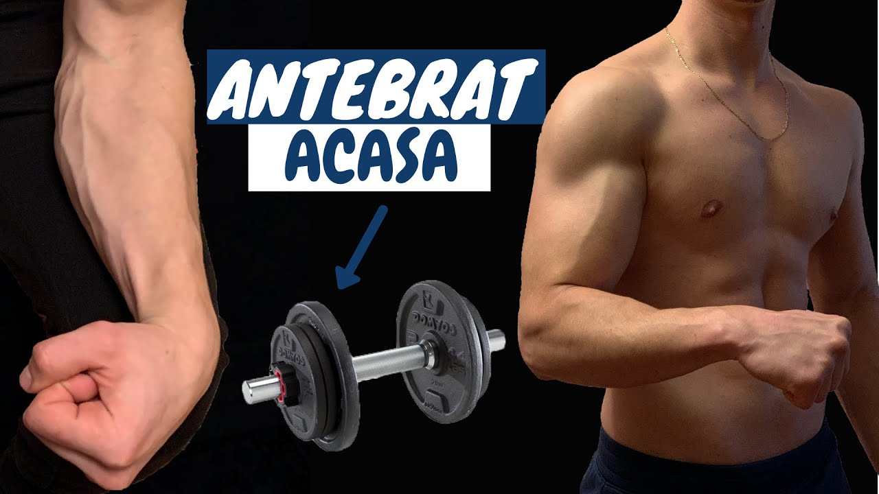 Exercitii pentru Antebrat Acasa doar cu Gantere