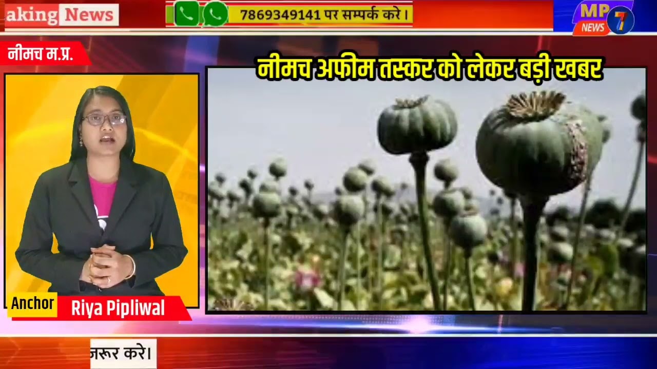 नीमच जिले के अफीम तस्कर को मिली यह सजा#mp7news#opiumtaskar#afimtaskar#neemuchafimtaskar#ndps#nimach