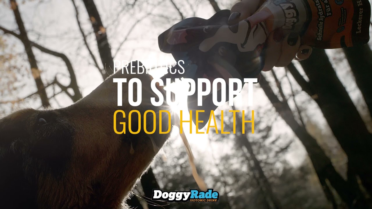 DoggyRade - Isotonic Drink For Pets - NOW IN STOCK