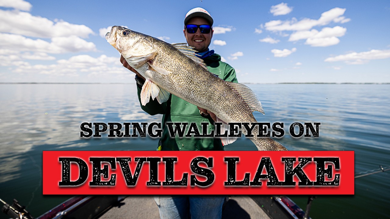 Spring Walleyes on Devils Lake