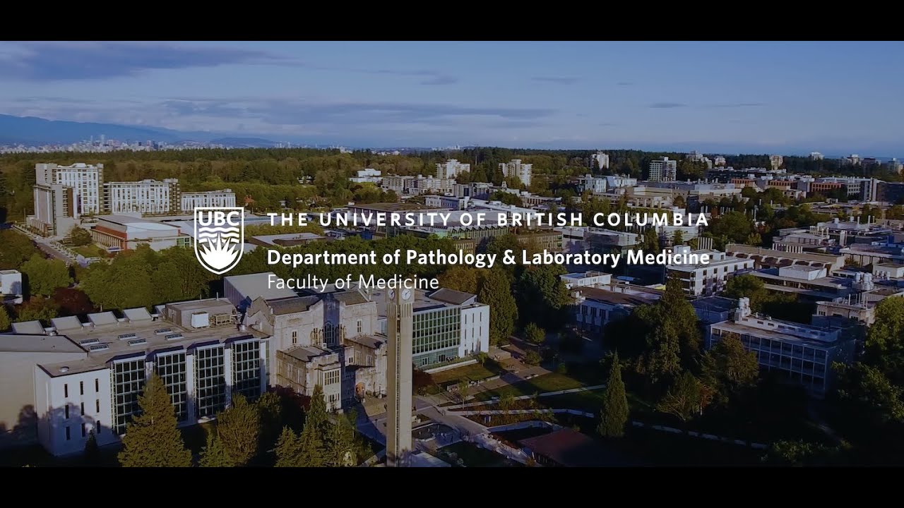 UBC Medicine Residency Programs: Anatomical Pathology #residency #pathology #ubcmedicine