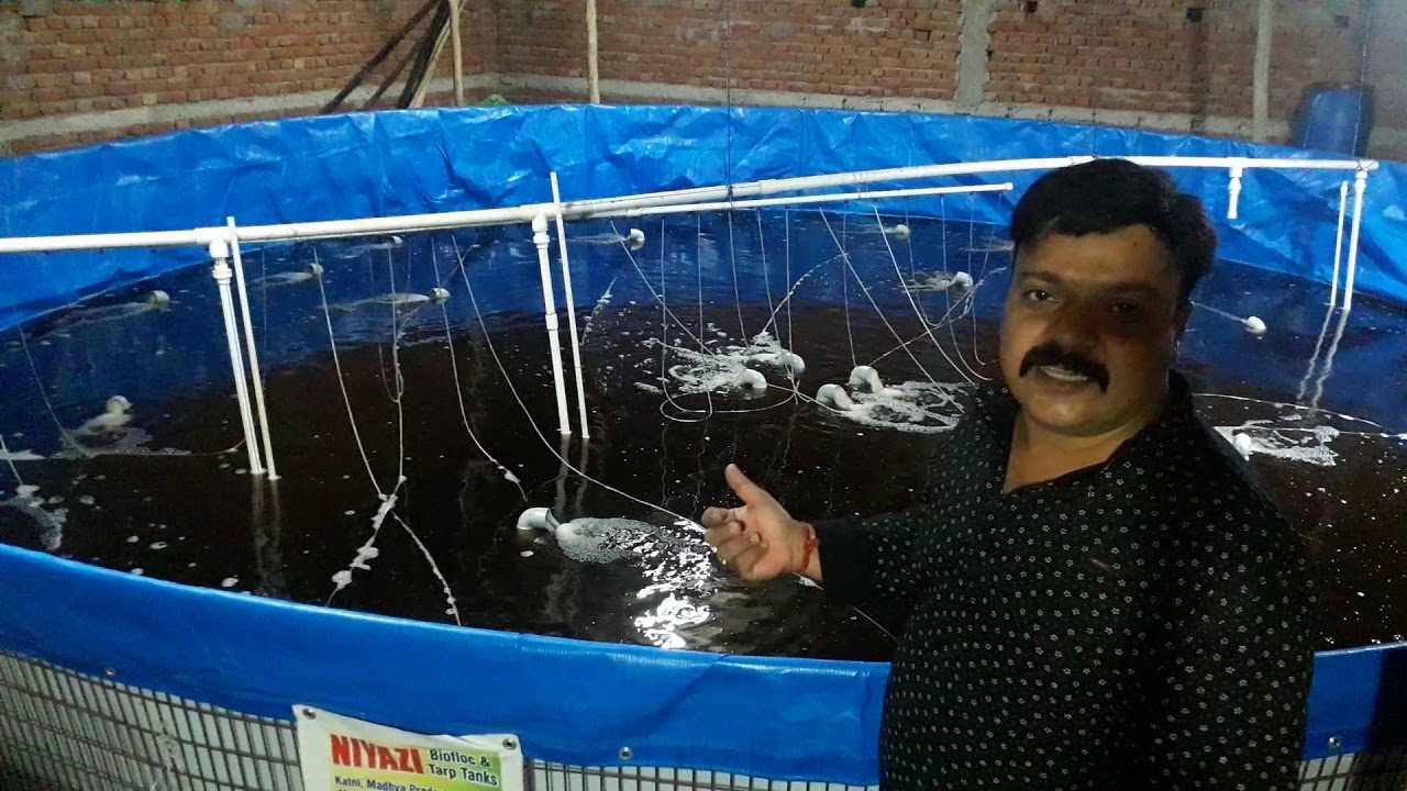 Airlift System in Biofloc
