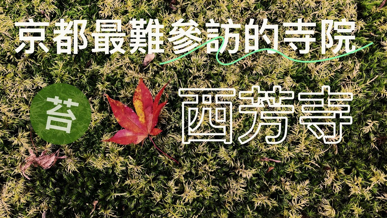 #26【京都滯在27天】京都最難參訪的西芳寺(苔寺)，120種以上苔蘚的侘寂美感