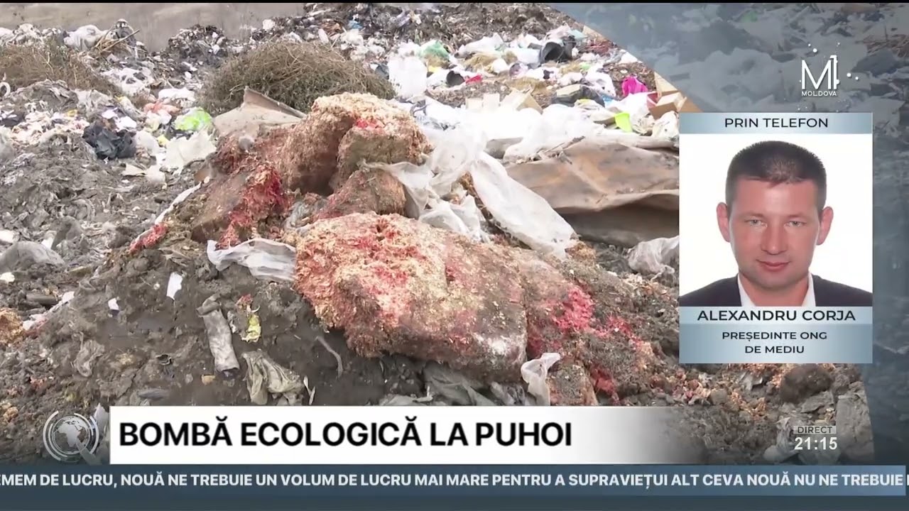 Noi detalii în cazul cărnii depozitate la gunoiștea de lângă Puhoi