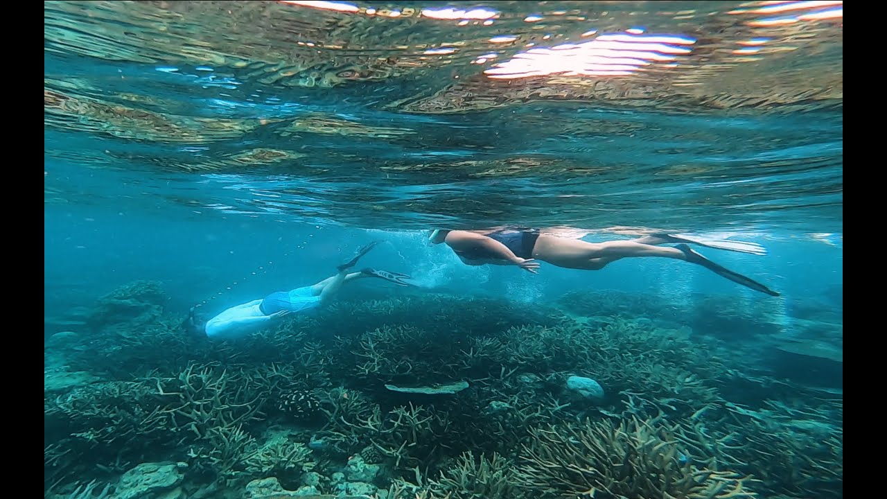 Exploring Pacific Harbour | The Adventure Capital of Fiji