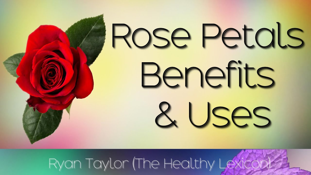Rose Petals: Benefits and Uses