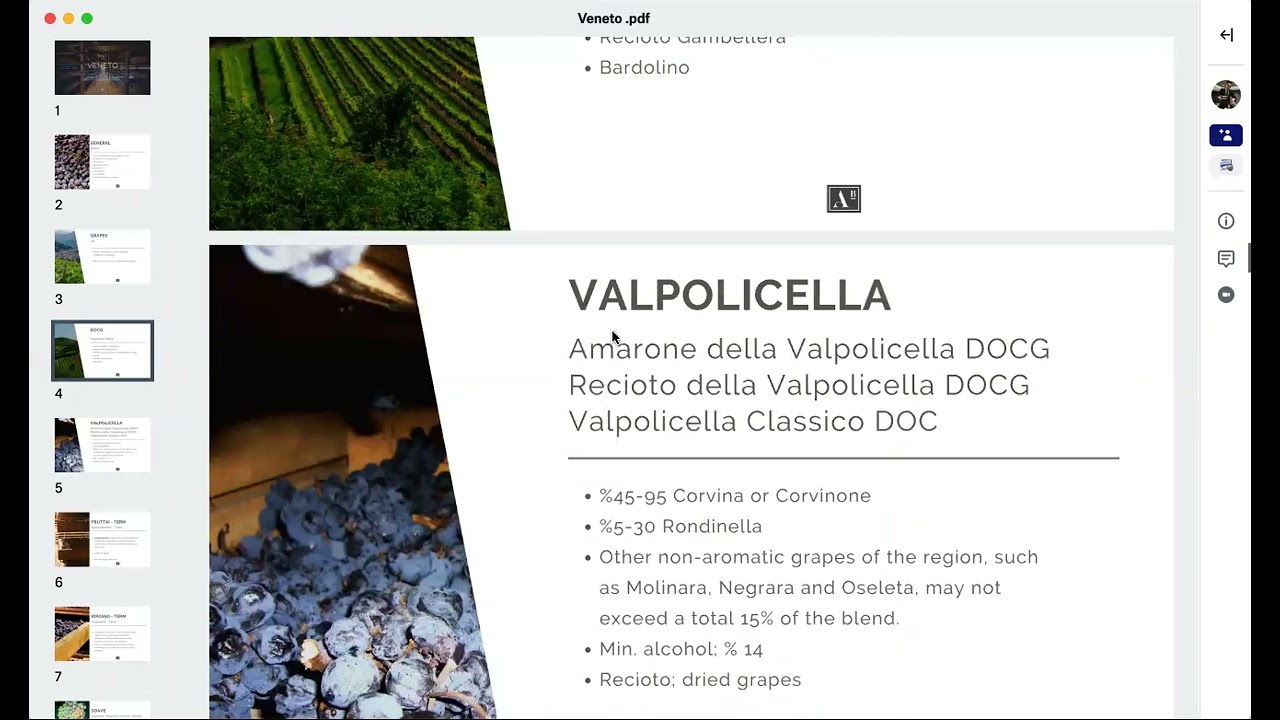 Veneto Şarapları