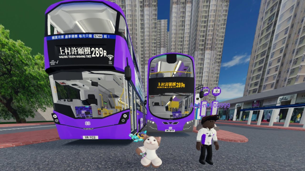 【照繼續拍巴士系列】 BB 289R 綠山邨～上村許願樹￼