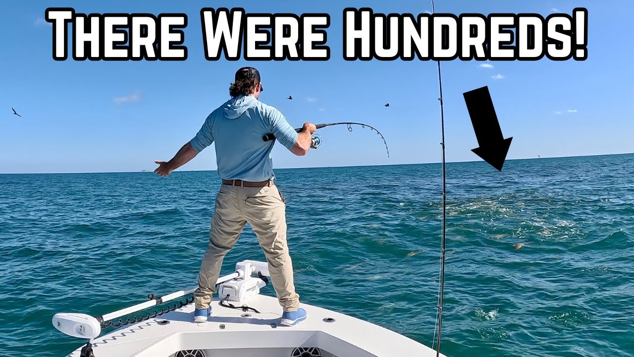NO ONE Would Have Believed Me If I Didn't Get This Crazy Action On Video!