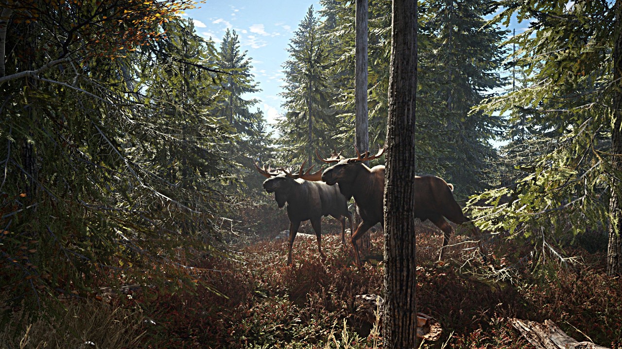 LIVE 🔴 thehunter: Call of the Wild - Exploring & Hunting Animals