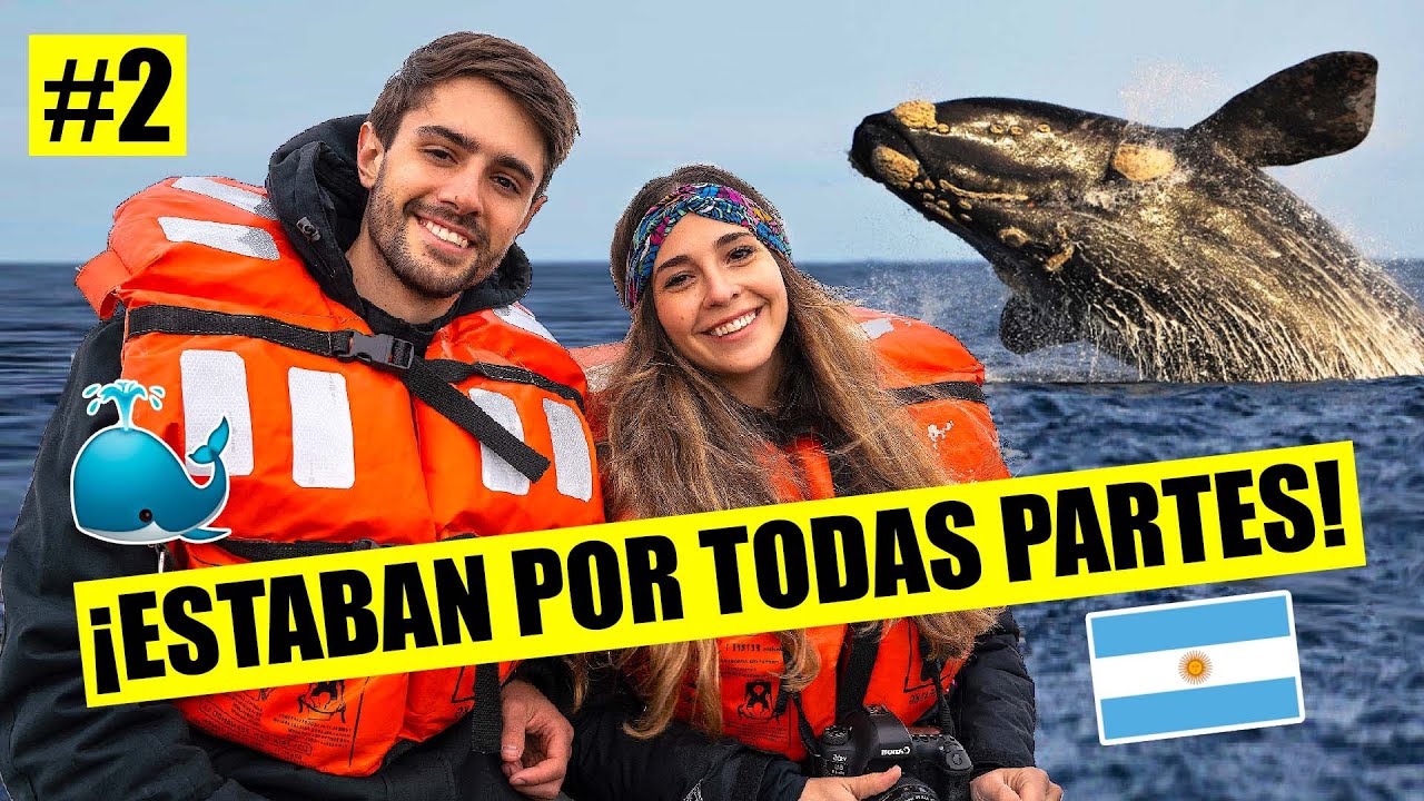 FUIMOS A PUERTO MADRYN Y VIMOS LAS BALLENAS!!! 🐳 *2021* | ROAD TRIP por ARGENTINA Ep. 2 🚗