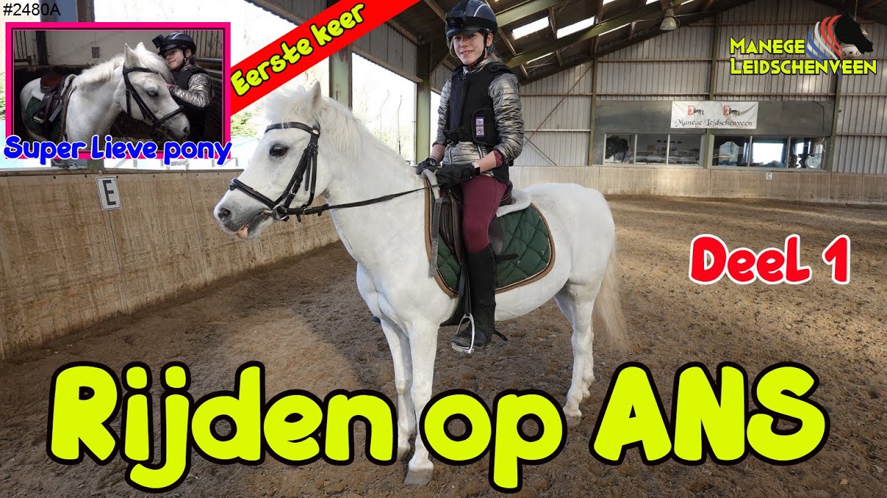 PAARD RIJDEN op een ANDER PAARD bij de MANEGE, namelijk ANS. Een LIEVE KLEINE WITTE PONY #2480A