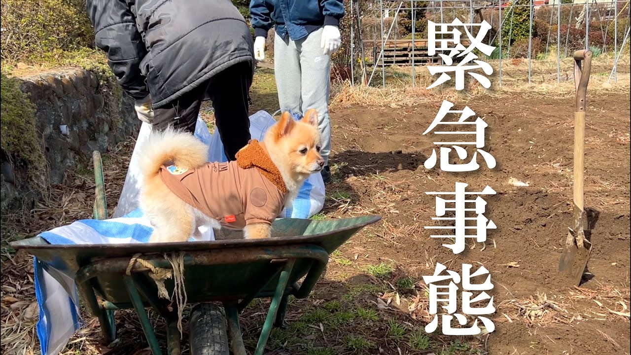 【緊急事態】地震で福島の実家が大変なことになりました…