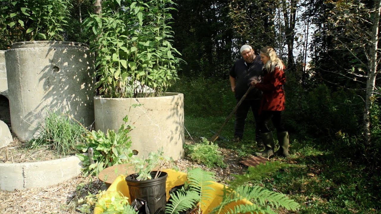 Ça vaut le détour!: Forêt nourricière