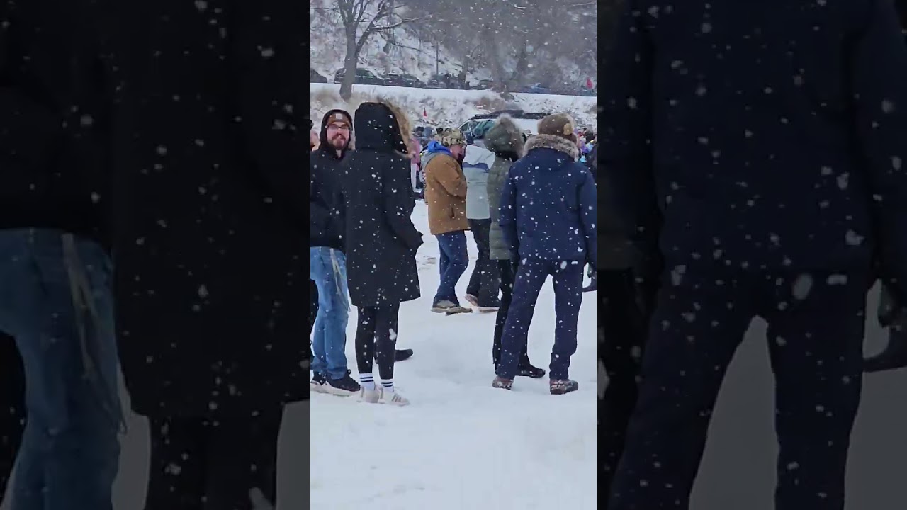 Polar Bears in Wisconsin 