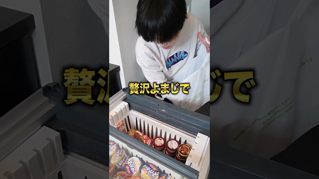 コンビニの冷凍庫ごと買ってみたwwww