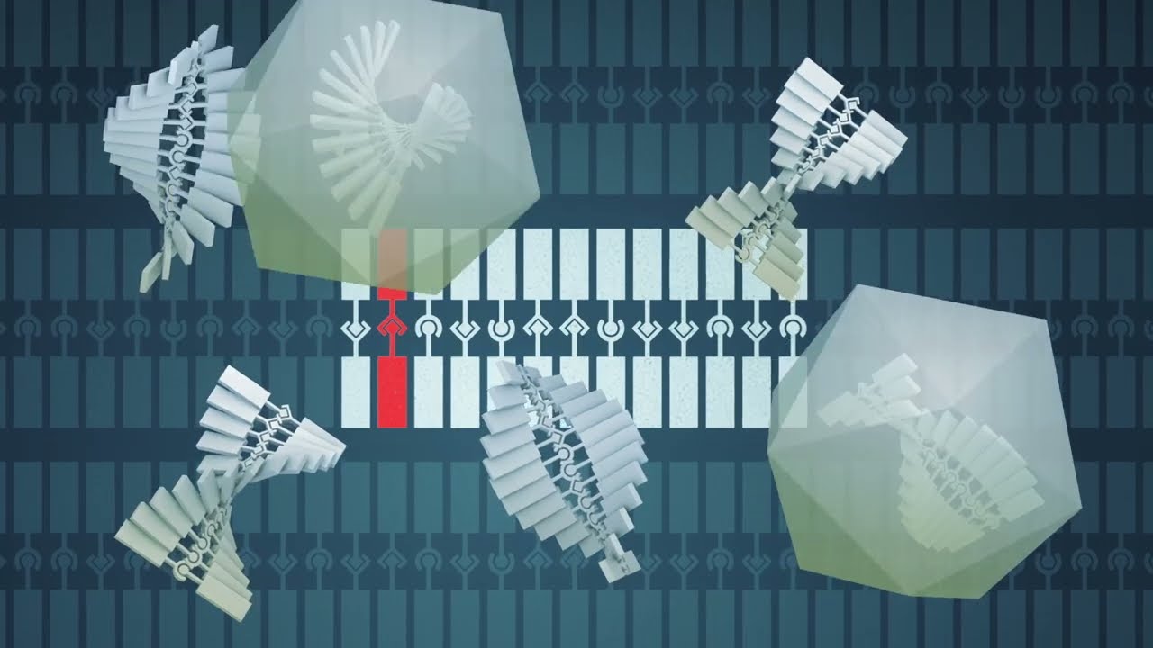 BGTC: AAV Animation