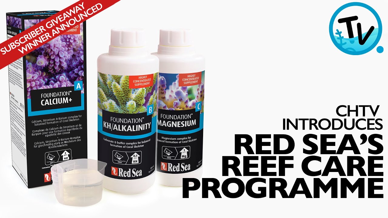 CHTV Introduces Red Sea Reef Care Programme