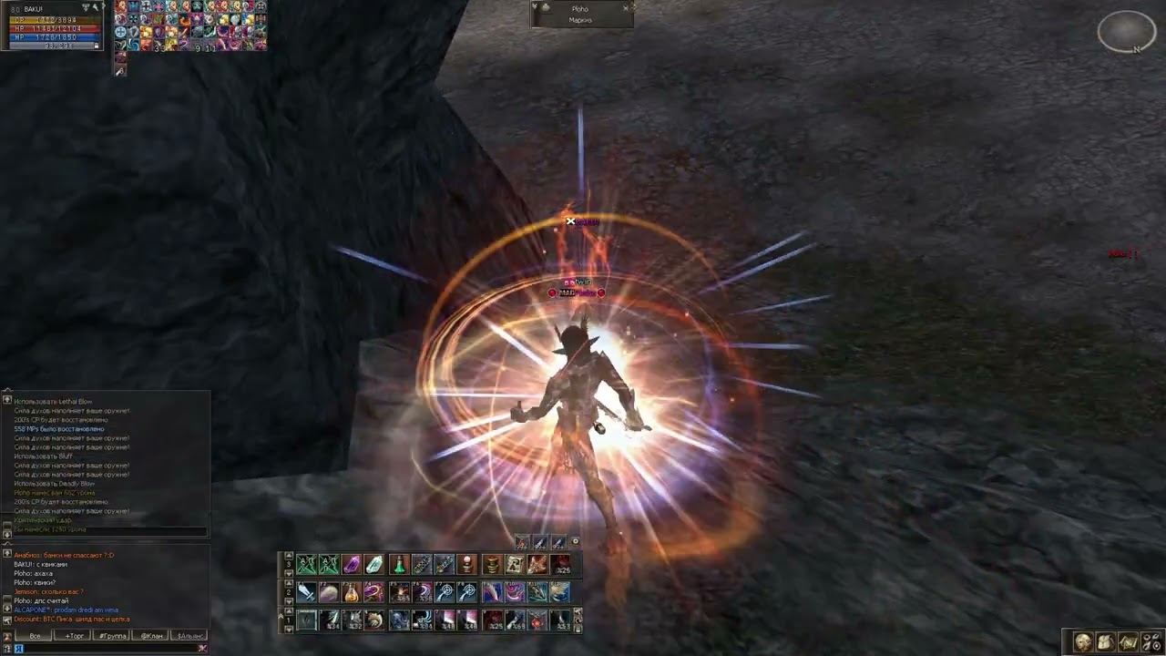 Treasure Hunter - Euro-pvp x1200.  PVP Lineage 2. Part 14. 6. Half a year without the game