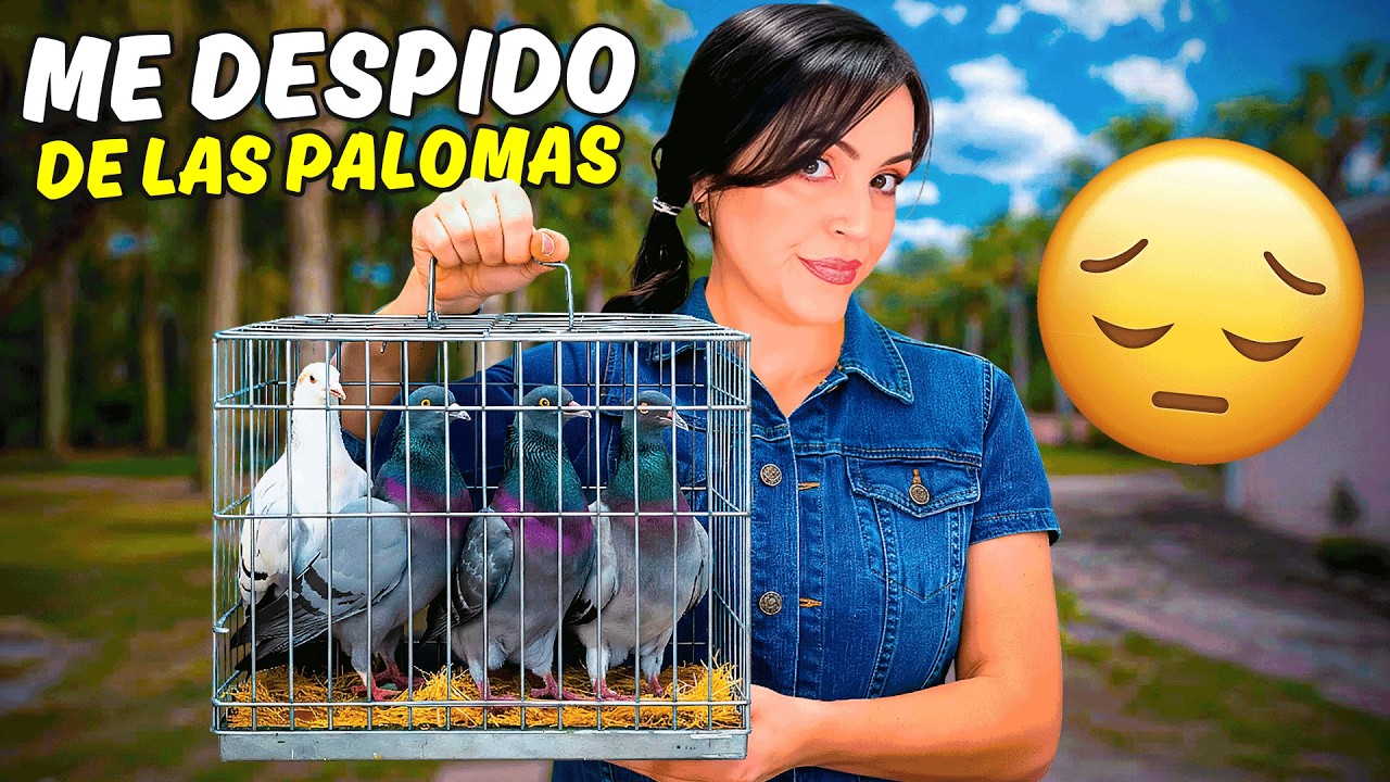 Ya No Voy a Tener Palomas en La Finquita Bonita 🕊️😔 LA FINQUITA BONITA