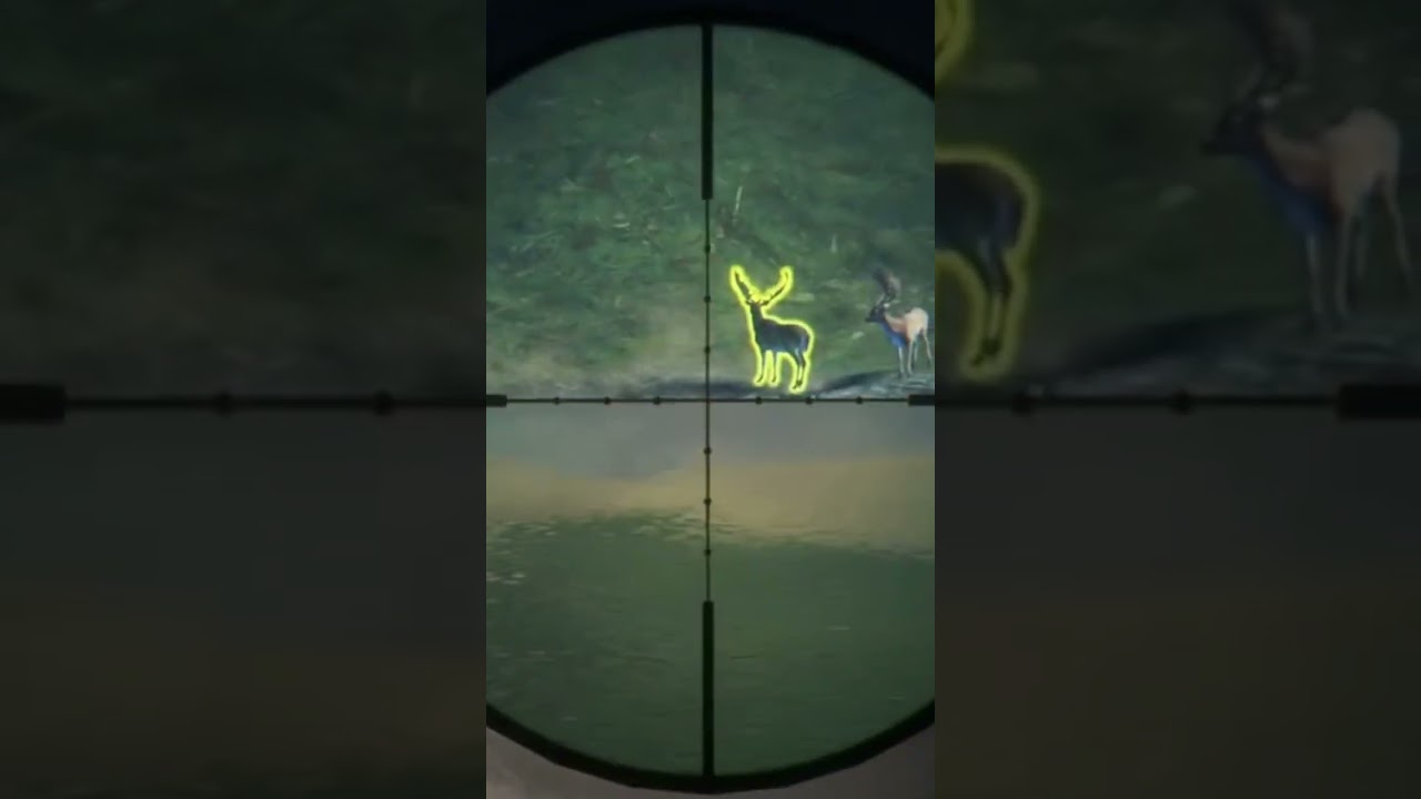 Gamo DIMA que apareceu na &uacute;ltima live! 🔫