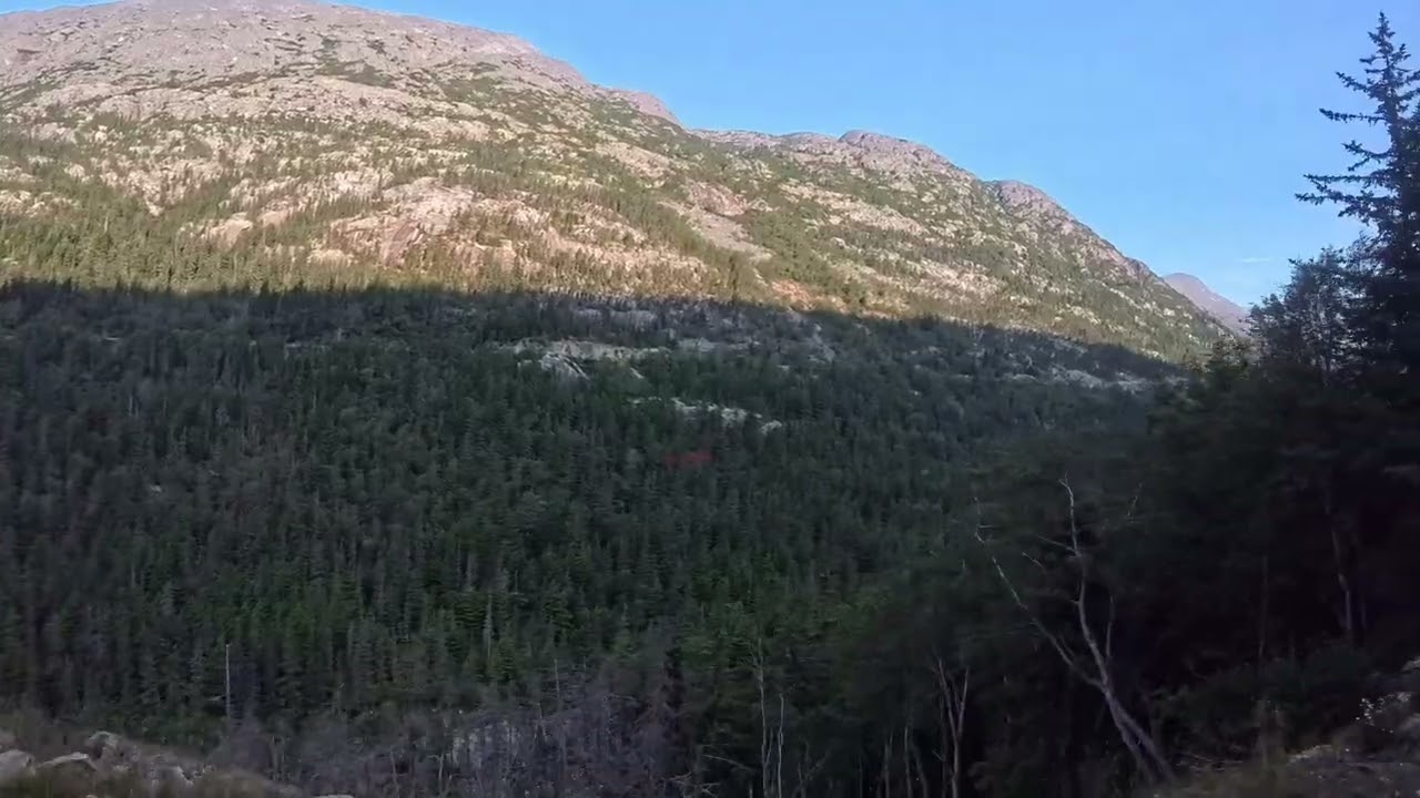 Skagway White Pass Train Excursion