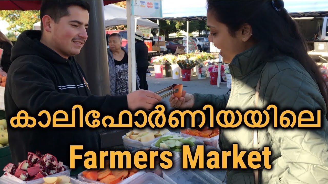 അമേരിക്കയിലെ Farmers Market #OneDayTrip # Malayalam Travel Vlog Milpitas Farmers Market