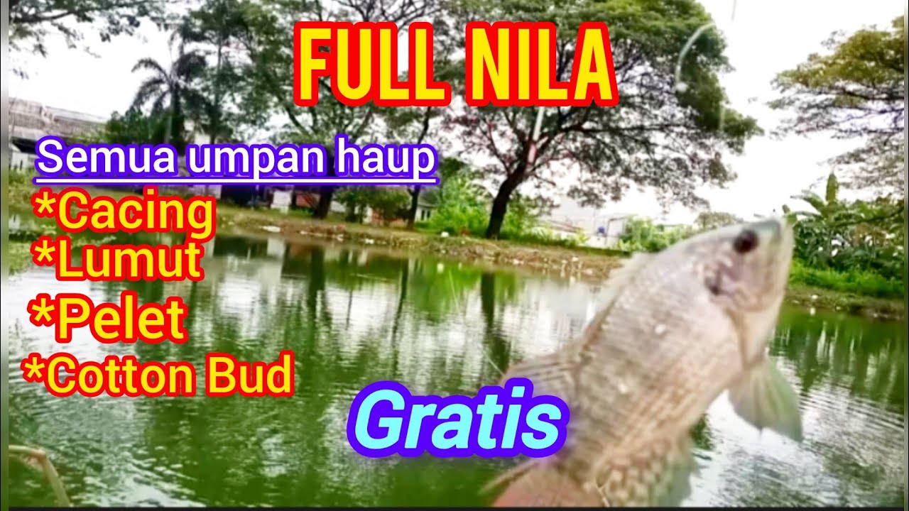 Rute spot mancing ikan mujaer nila gratis  daerah Babelan Bekasi || Langsung tes mancing