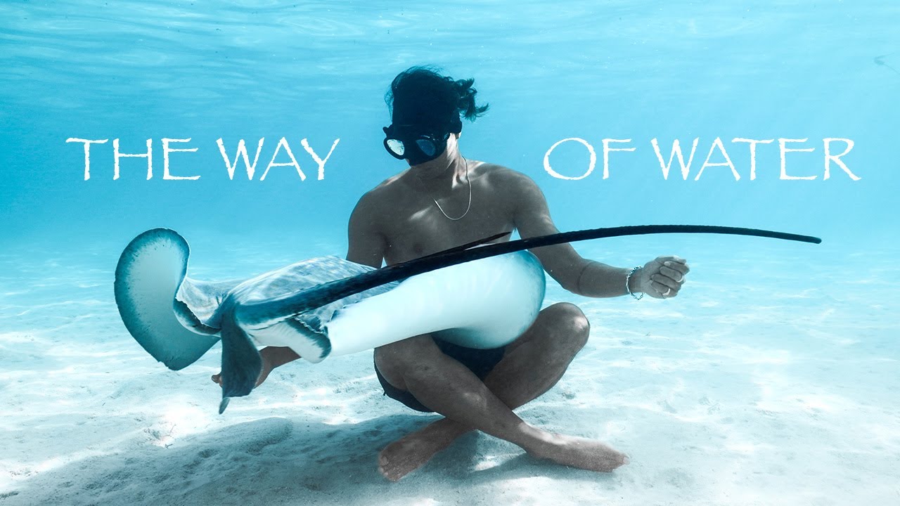 The Way of Water - Mo'orea French Polynesia (Inspired by Avatar 2)