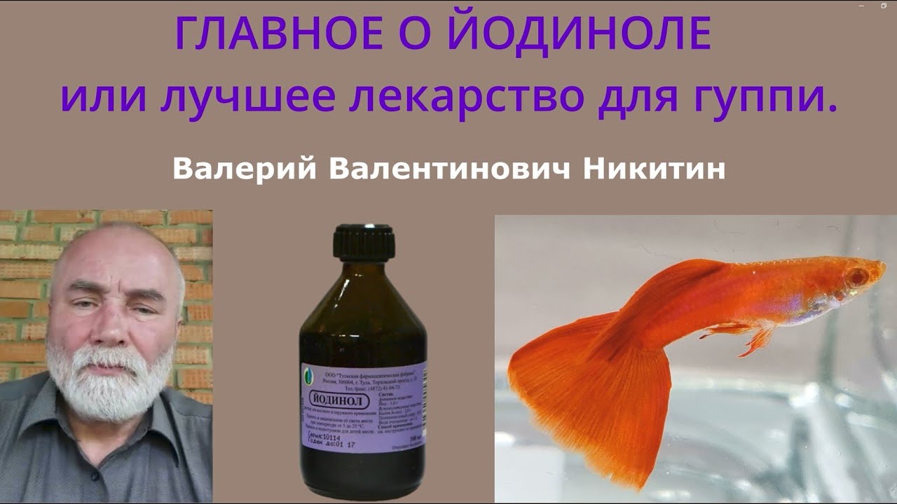 Главное о йодиноле или лучшее лекарство для гуппи. Часть 1