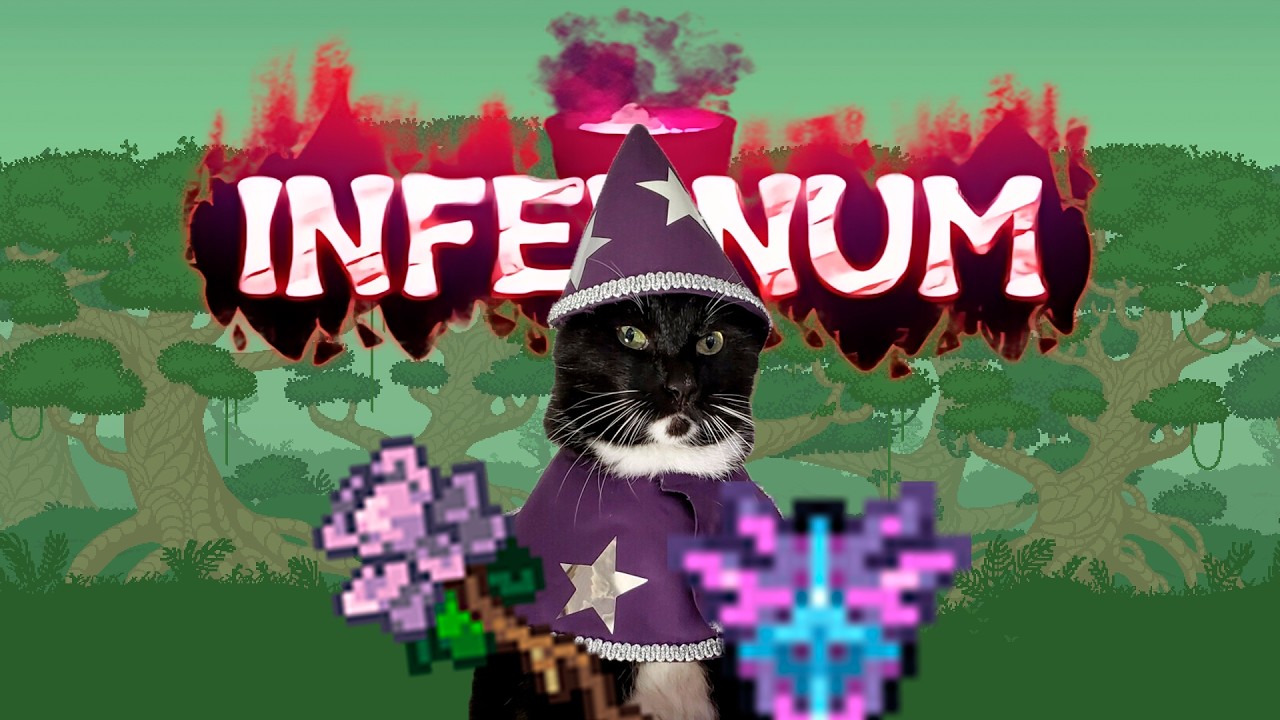 Мой первый раз в соло Calamity Infernum #2 | Calamity Infernum за мага