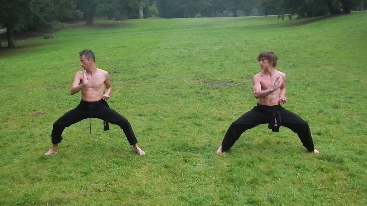 TEASER KUNG FU ARTI MARZIALI LE AQUILE 2017