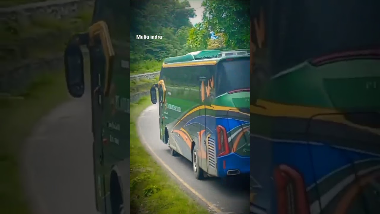 ALS BUS MEDAN TERBARU #muliaindra #busindonesia #busmedan #shorts #als