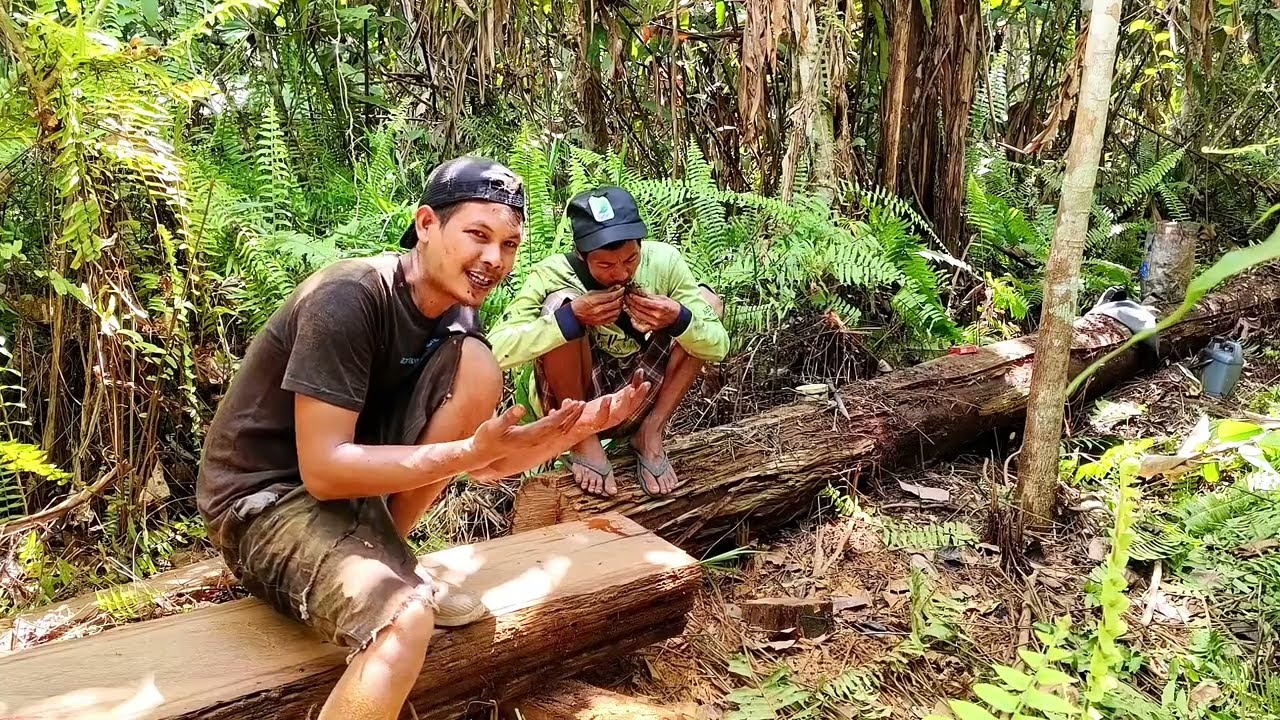 kmi membuat papan dari kayu ulin kecil kualitas terbaik dan mengandung madu