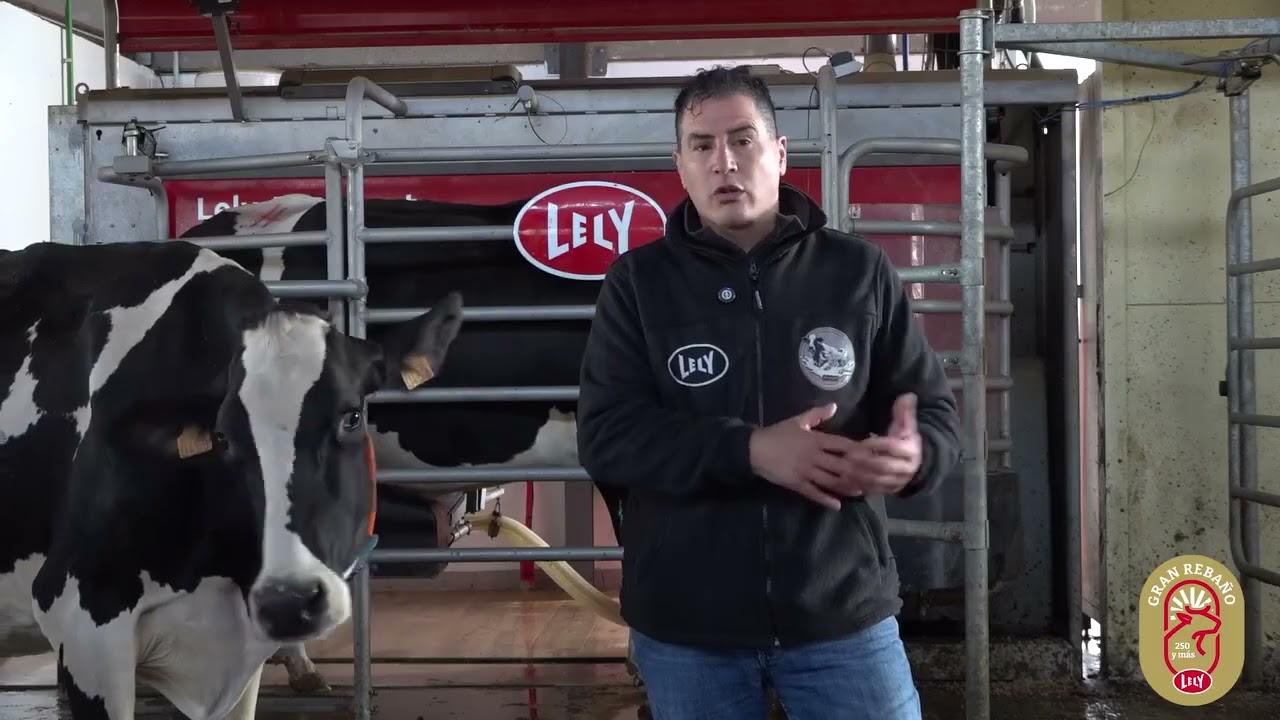 [GRAN REBAÑO] 8 robot - Roncero, Zamora