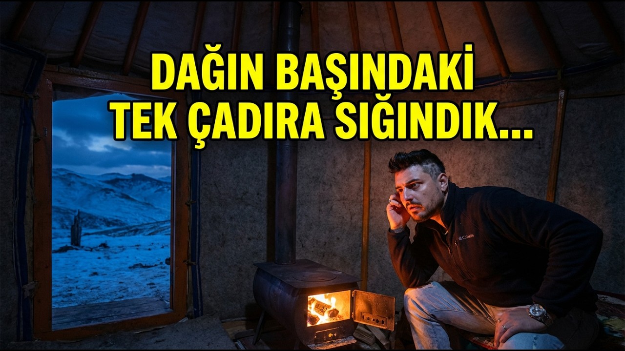 5 İneği Kurtlar Yemiş ! Dağın Başındaki Tek Çadıra Sığındık…