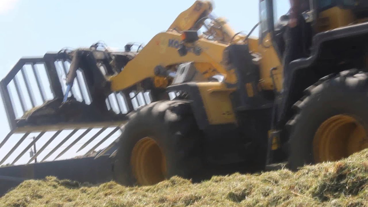 Silage 2015 mad rush