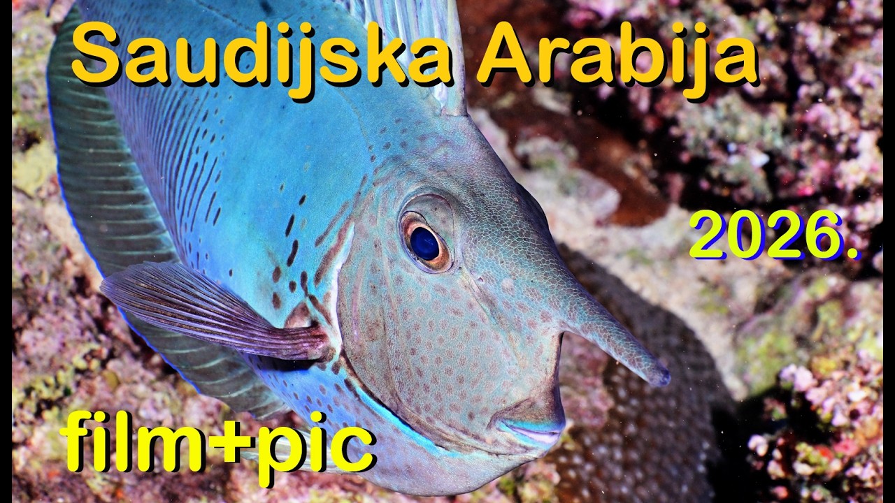 094V Saudijska Arabia2025 16min  mix filmFHD