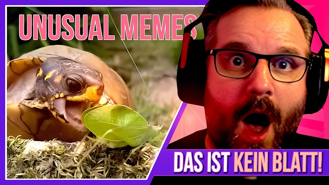 Ich bin so satt, ich mag kein Blatt! - Unusual Memes Compilation V233 und V234 - Gronkh Reaction