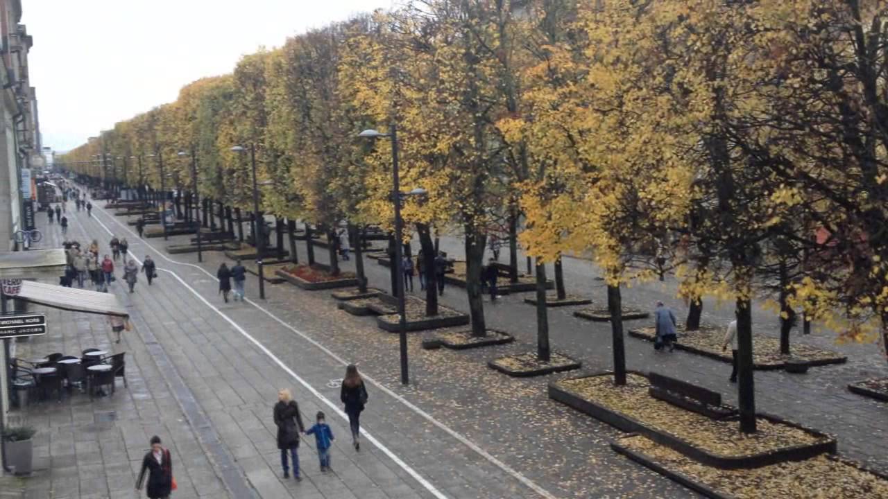 Kaune visu pajėgumu kaukė sirenos