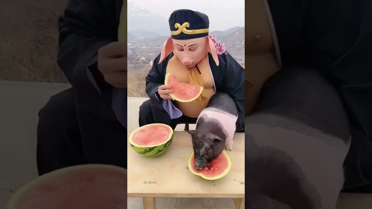 Trư B&aacute;t Giới