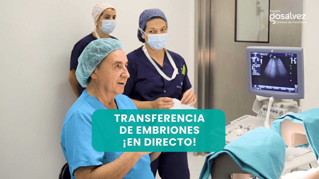 Transferencia de Embriones en Tiempo Real: Paso a paso