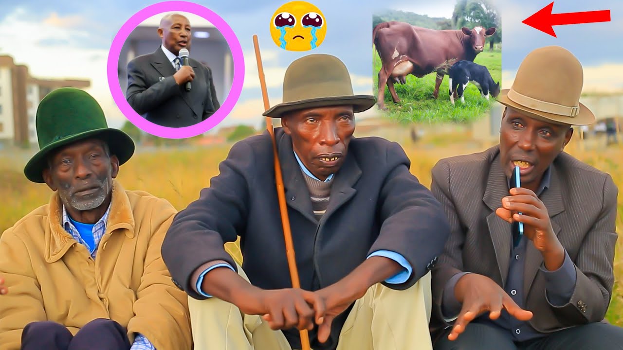 Ubumwe bw'abanyamulenge // inka 1🐄 tukayigabana umuhana wose//Rv Mudagiri😭💔 niwe wafunguy KDZ